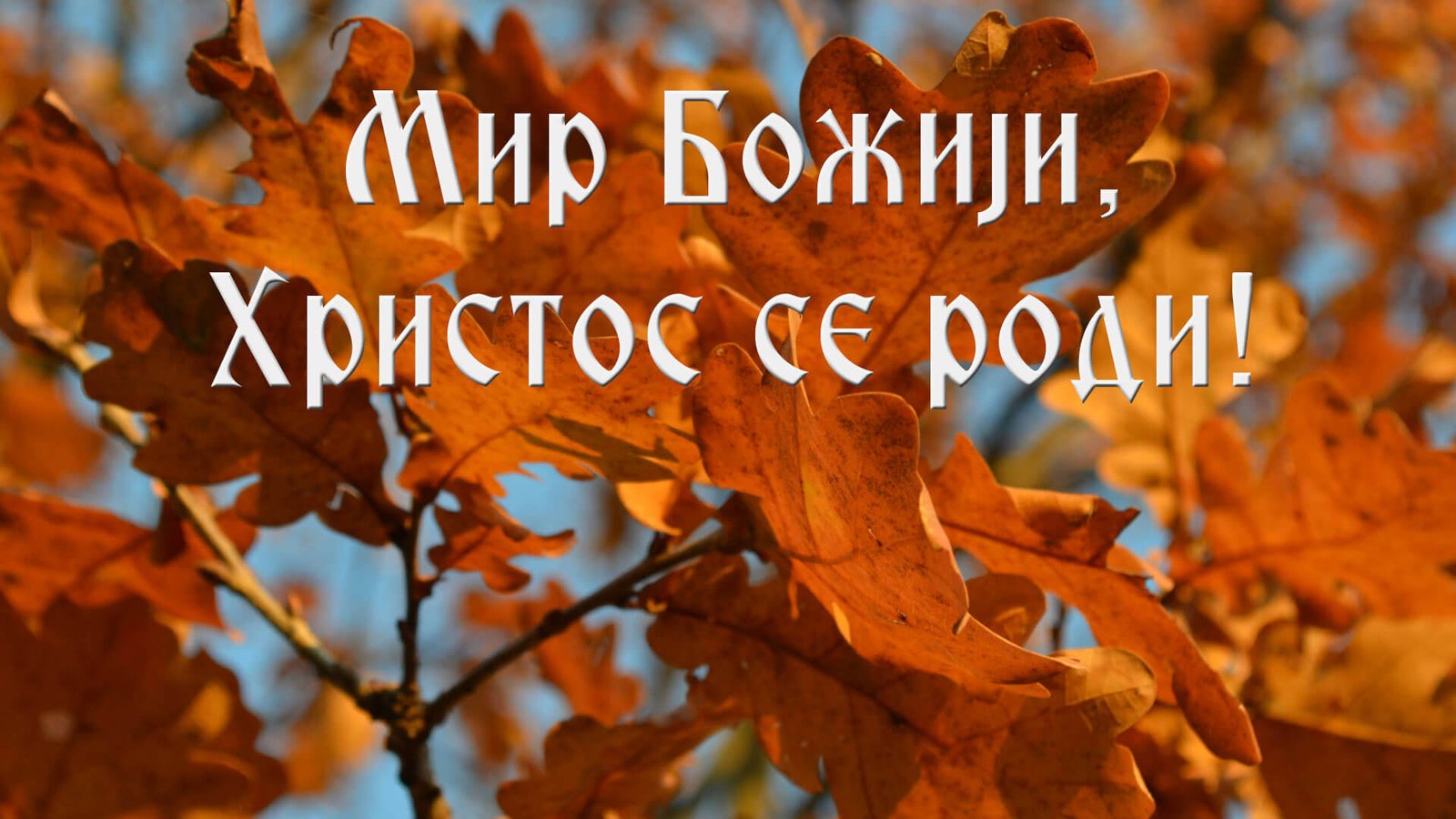 Православни Божић прослављен у Волонгонгу